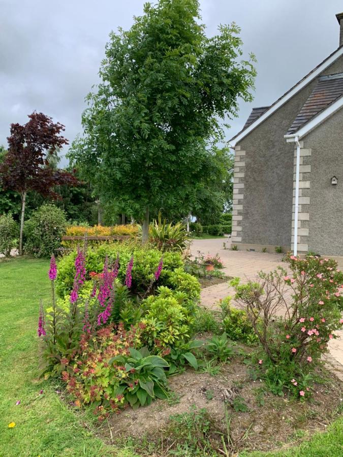 Bed and Breakfast Windyridge à Aghagallon Extérieur photo